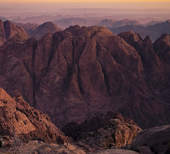 Le buisson ardent, l'histoire d'un arbre qui ne se consume pas